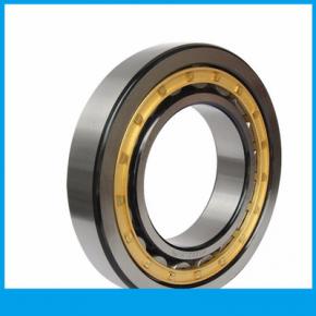 Cylindrical Roller Bearings 